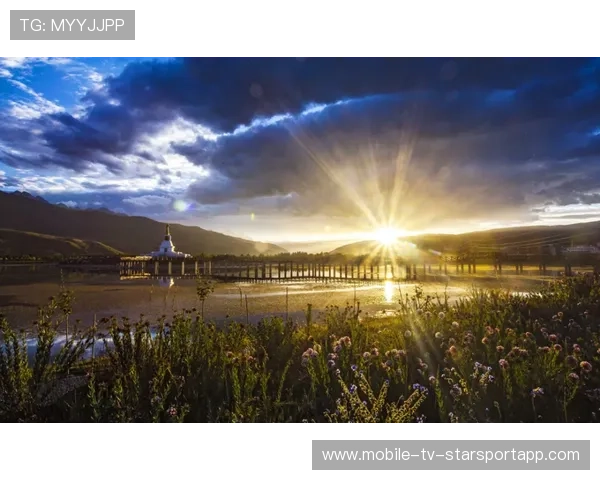 青年力量崛起，迎来新希望！，新青年新力量